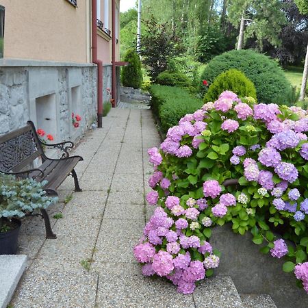 Penzion Ostravanka Hranice  Luaran gambar